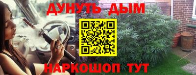 ешки Гай