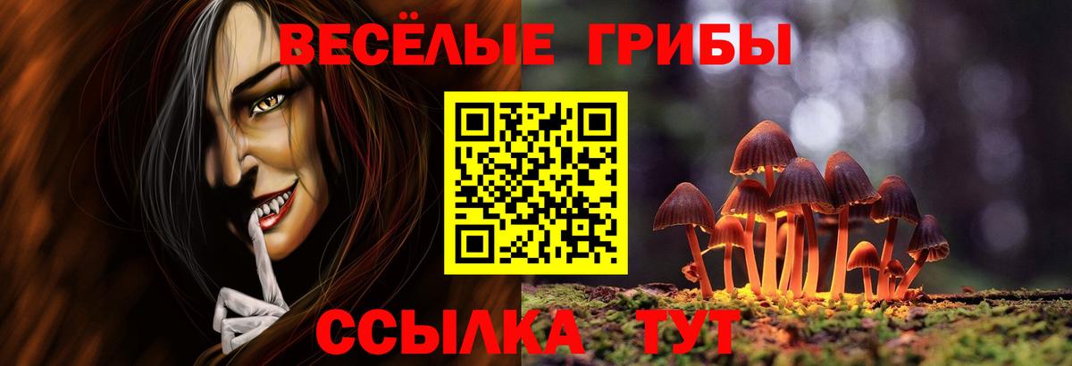 Междуреченск  Псилоцибиновые грибы Psilocybe  Псилоцибиновые грибы GOLDEN TEACHER  Вход с VPN 